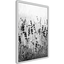 Juliste Artgeist Lavender in the Rain, kehyksillä, eri kokoja