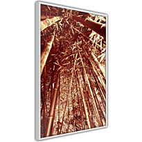 Juliste Artgeist Tall Bamboos, kehyksillä, eri kokoja