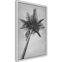 Juliste Artgeist High Palm Tree, kehyksillä, eri kokoja