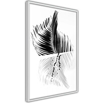 Juliste Artgeist Black And White Palm, kehyksillä, eri kokoja