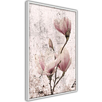 Juliste Artgeist Mature Magnolia, kehyksillä, eri kokoja