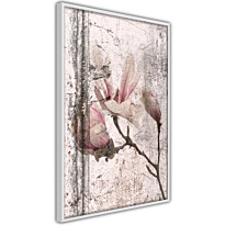 Juliste Artgeist Exquisite Magnolia, kehyksillä, eri kokoja