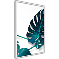 Juliste Artgeist Sea Flower, kehyksillä, eri kokoja