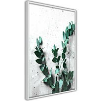 Juliste Artgeist Eucalyptus Scent, kehyksillä, eri kokoja