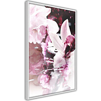 Juliste Artgeist Sleepy Orchid, kehyksillä, eri kokoja