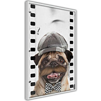 Juliste Artgeist Pug In Hat, kehyksillä, eri kokoja