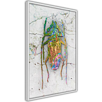 Juliste Artgeist Insect World, kehyksillä, eri kokoja