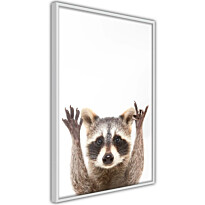Juliste Artgeist Raccoon, kehyksillä, eri kokoja