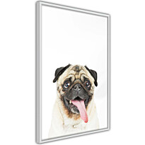 Juliste Artgeist Pug, kehyksillä, eri kokoja