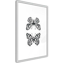 Juliste Artgeist Two Butterflies, kehyksillä, eri kokoja