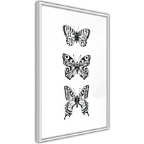 Juliste Artgeist Three Butterflies, kehyksillä, eri kokoja