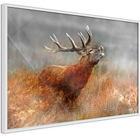 Juliste Artgeist Roaring Deer, kehyksillä, eri kokoja