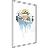 Juliste Artgeist Polar Bear, kehyksillä, eri kokoja