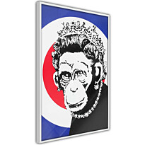 Juliste Artgeist Queen of Monkeys, kehyksillä, eri kokoja