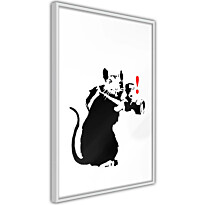 Juliste Artgeist Rat Photographer, kehyksillä, eri kokoja