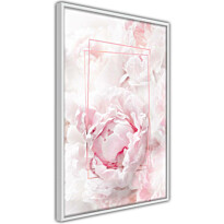Juliste Artgeist Fleeting Beauty, kehyksillä, eri kokoja