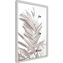 Juliste Artgeist Palm Plant, kehyksillä, eri kokoja