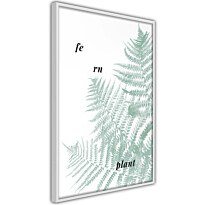 Juliste Artgeist Fern Plant, kehyksillä, eri kokoja