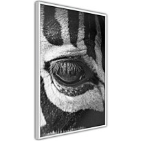 Juliste Artgeist Zebra Eye, kehyksillä, eri kokoja