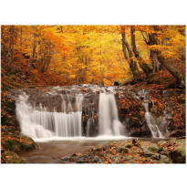 Kuvatapetti Artgeist Autumn landscape: waterfall in forest, eri kokoja