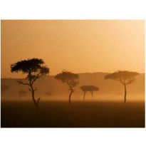 Maisematapetti Artgeist Massai Mara, eri kokoja