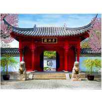 Kuvatapetti Artgeist Chinese botanical garden of Montreal, eri kokoja