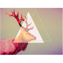 Kuvatapetti Artgeist Deer - graphic pattern, eri kokoja