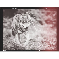 Kuvatapetti Artgeist Wolf, eri kokoja