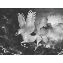 Kuvatapetti Artgeist Pegasus II, eri kokoja