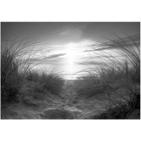 Maisematapetti Artgeist Black and White Beach, eri kokoja