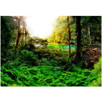 Kuvatapetti Artgeist In tropics, eri kokoja