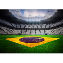 Kuvatapetti Artgeist Brazilian stadium, eri kokoja