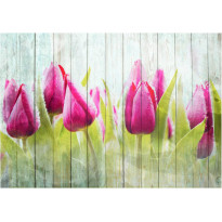 Kuvatapetti Artgeist Tulips on white wood, eri kokoja