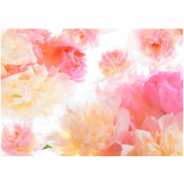 Kuvatapetti Artgeist Pastel peonies, eri kokoja