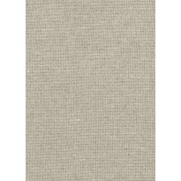 Tapetti Arte Chanderi, 0.7x8.5m, hiekka, non-woven
