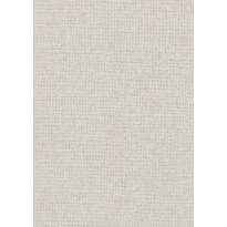 Tapetti Arte Chanderi, 0.7x8.5m, puuteri, non-woven