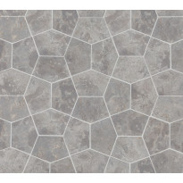 Luonnonkivilaatta Qualitystone Pentagon Light Grey, 150x100mm