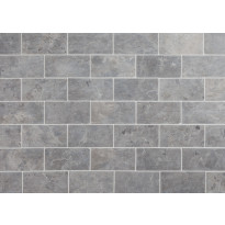 Luonnonkivilaatta Qualitystone Light Grey Marble Tile, 100x200mm