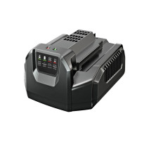 Vakiolaturi Ego Power+ ARC CH2100E, 210W