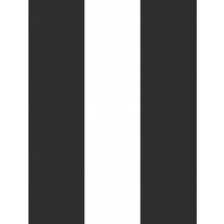 Tapetti Esta Black &amp; White with a splash of Gold 139111, 0,53x10,05m