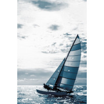 Maisematapetti Esta Regatta Crew Surf Edition 158846, 186x279cm