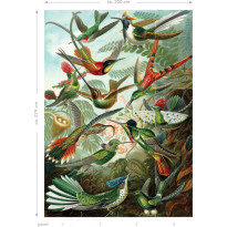 Kuvatapetti Esta Paradise XL Birds Tropical Jungle Green, 2x2,79m