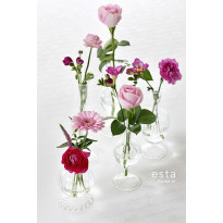 Tapetti Handwriting Latin Flower Names 128031 0,53x10,05 m valkoinen/helmiäishopea non-woven