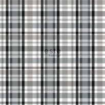 Tapetti Esta College 138821, 0,53x10,05m, monivärinen