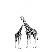 Kuvatapetti PhotowallXL Two Giraffes 158701 1395x2790 mm