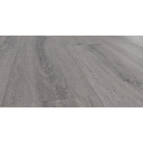 Vinyyli Flooria SPC Wood P1002 Aspen Oak