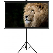 Valkokangas jalustalla, 60&quot;, 4:3