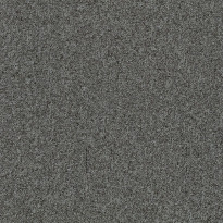 Tekstiililaatta Forbo Tessera Basis Pro Seal, 50x50cm, ruskeanharmaa