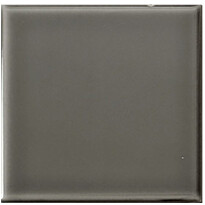 Seinälaatta Arredo Color Marengo 10x10cm, kiiltävä, harmaa