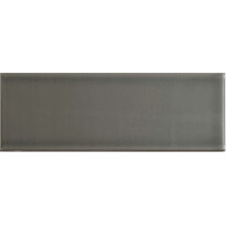 Seinälaatta Arredo Color Marengo 10x30cm, kiiltävä, harmaa